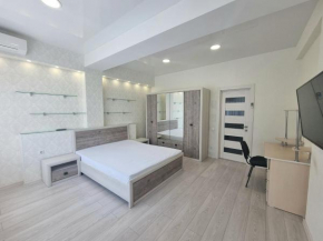 Testemiteanu 2 bedroom apartment air-conditioned